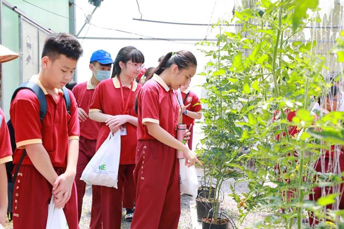 Học sinh Asian School thích thú khám phá Khu nông nghiệp công nghệ cao