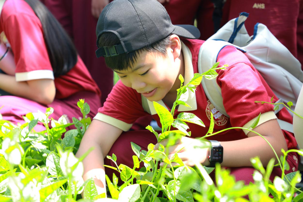 Học sinh Asian School thích thú khám phá Khu nông nghiệp công nghệ cao