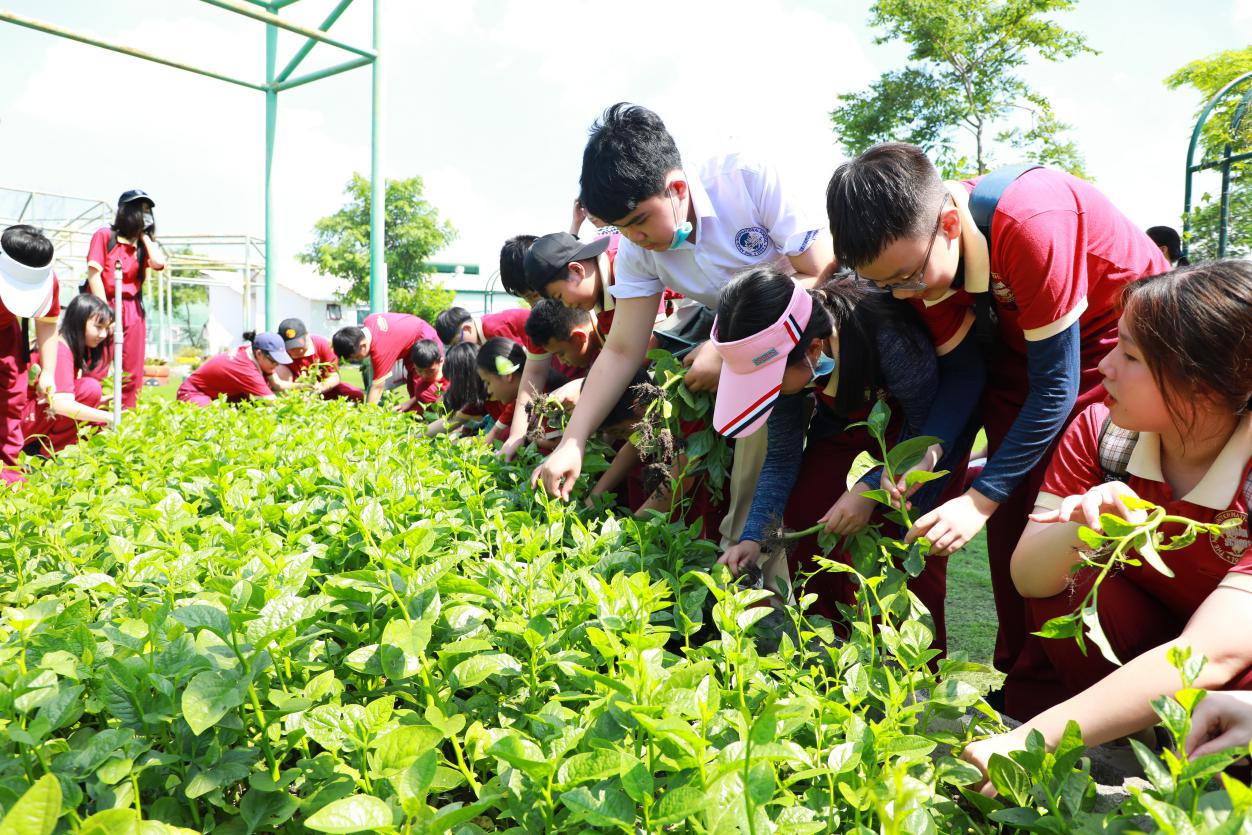 Học sinh Asian School thích thú khám phá Khu nông nghiệp công nghệ cao