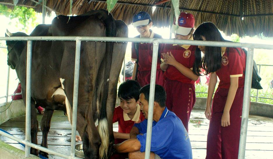 “Một ngày làm nông dân” - trải nghiệm hè thú vị của học sinh AHS