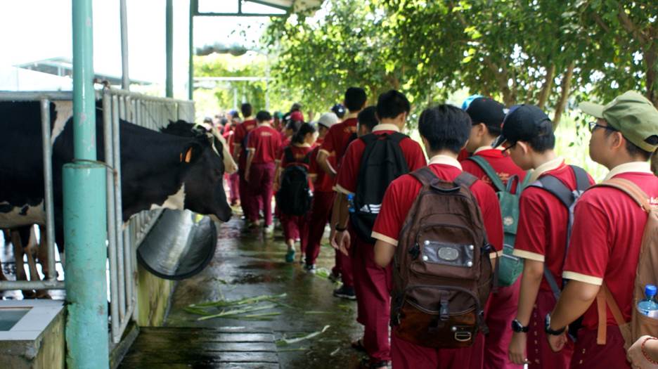 “Một ngày làm nông dân” - trải nghiệm hè thú vị của học sinh AHS