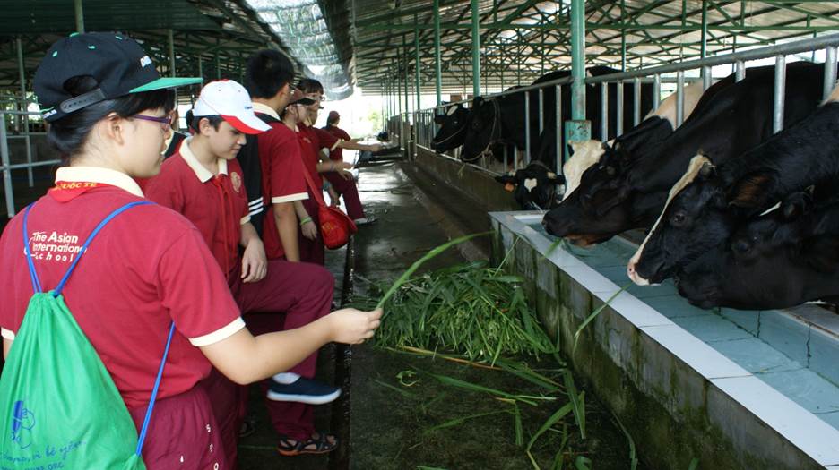 “Một ngày làm nông dân” - trải nghiệm hè thú vị của học sinh AHS