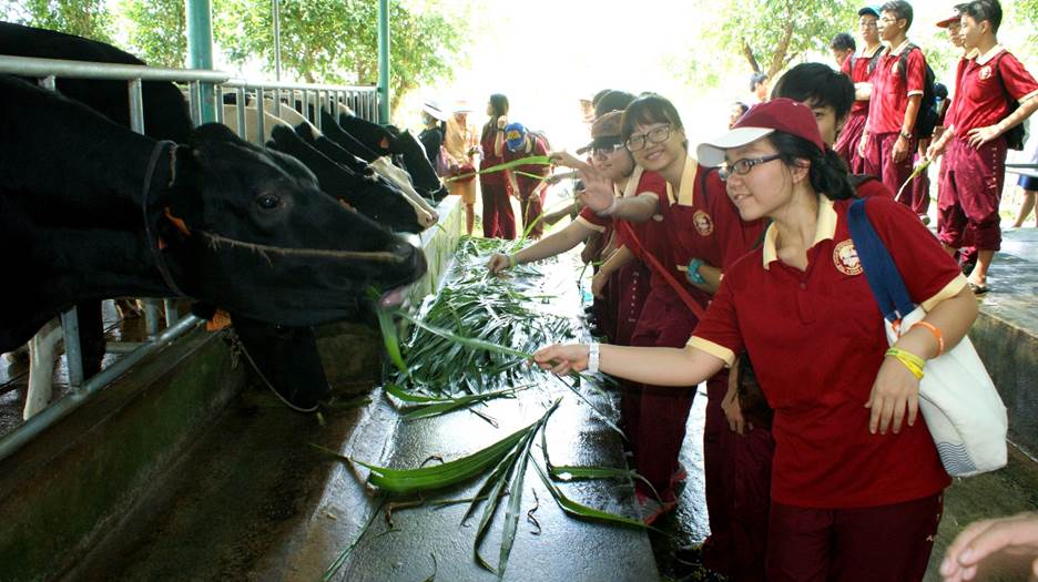 “Một ngày làm nông dân” - trải nghiệm hè thú vị của học sinh AHS