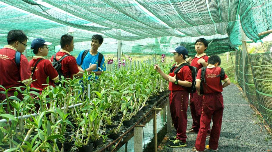 “Một ngày làm nông dân” - trải nghiệm hè thú vị của học sinh AHS