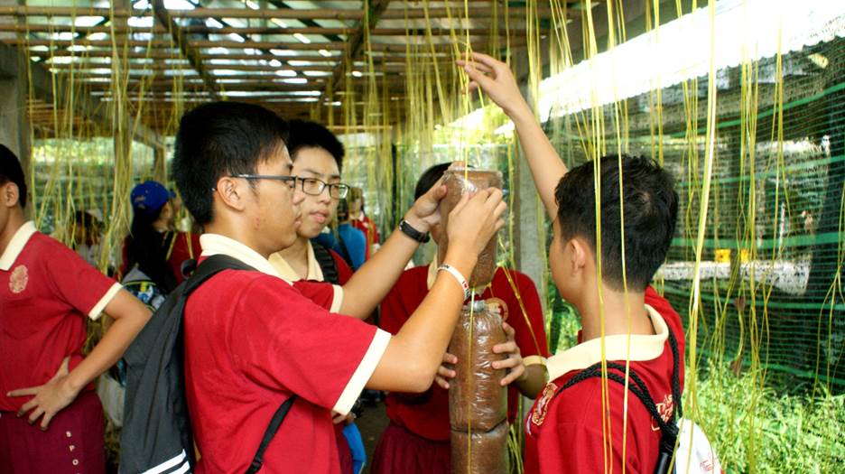 “Một ngày làm nông dân” - trải nghiệm hè thú vị của học sinh AHS