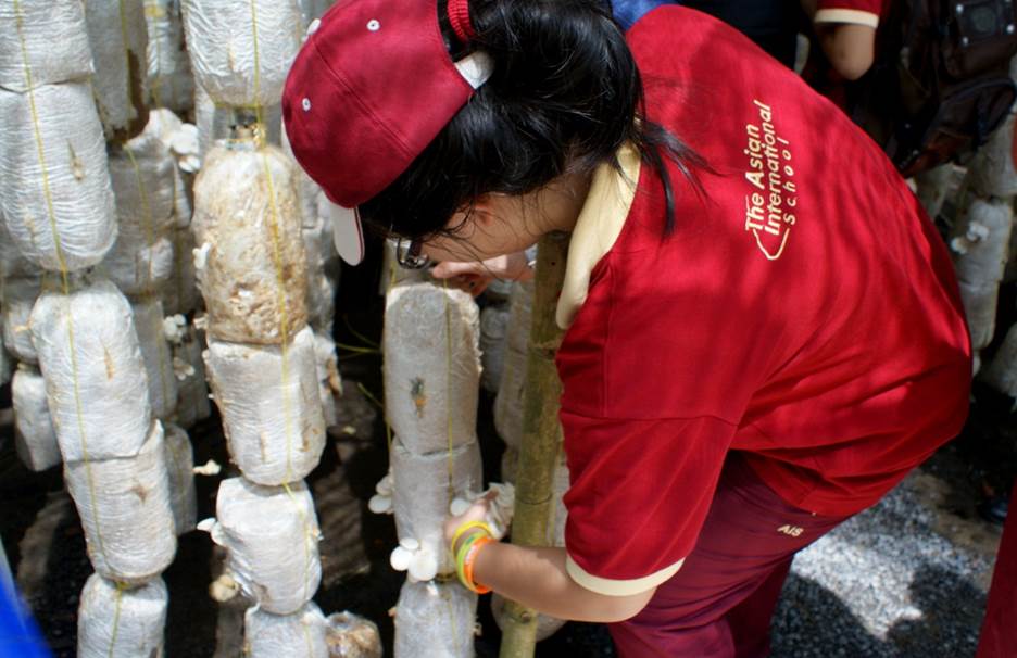 “Một ngày làm nông dân” - trải nghiệm hè thú vị của học sinh AHS
